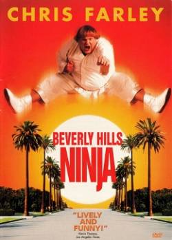 Смотреть фильм Ниндзя из Беверли Хиллз / Beverly Hills Ninja (1997) онлайн