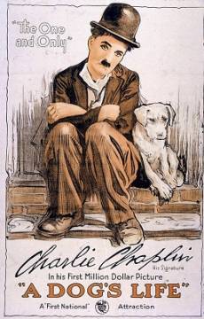 Смотреть фильм Собачья жизнь / A Dog's Life (1918) онлайн